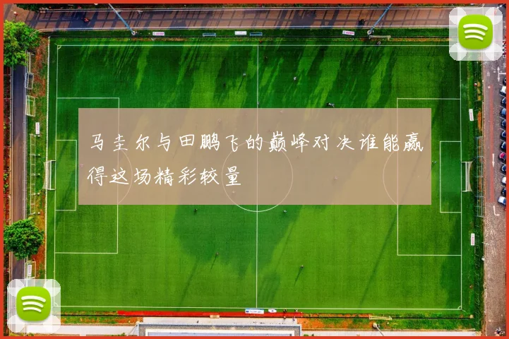 马圭尔与田鹏飞的巅峰对决谁能赢得这场精彩较量
