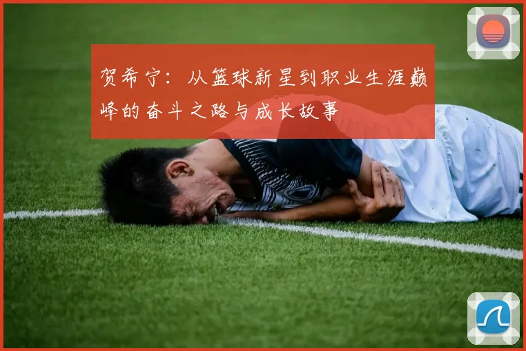 贺希宁：从篮球新星到职业生涯巅峰的奋斗之路与成长故事