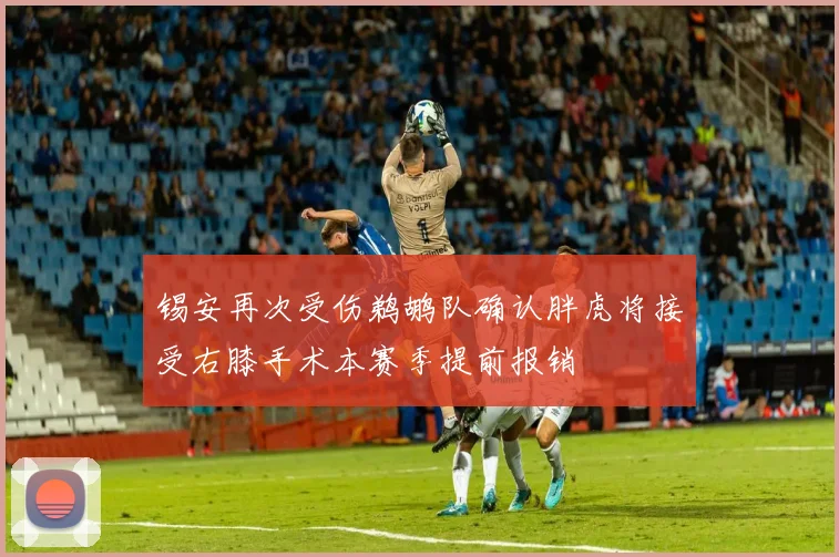 锡安再次受伤鹈鹕队确认胖虎将接受右膝手术本赛季提前报销