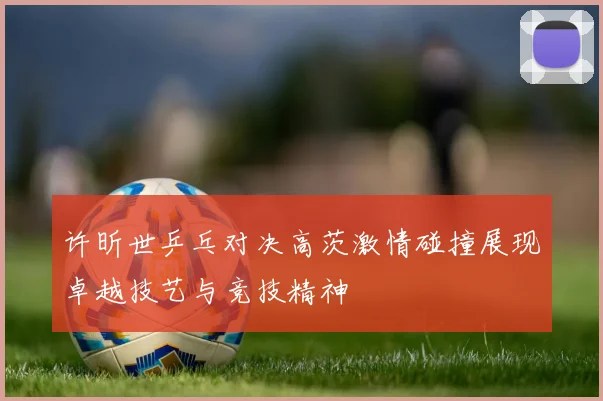 许昕世乒乓对决高茨激情碰撞展现卓越技艺与竞技精神