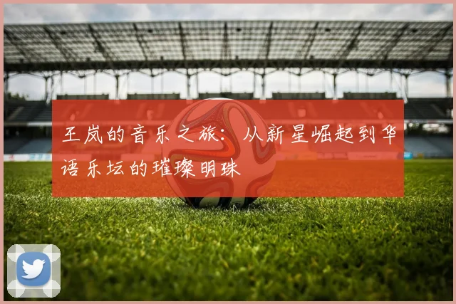 王岚的音乐之旅：从新星崛起到华语乐坛的璀璨明珠