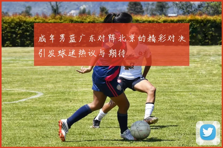 成年男蓝广东对阵北京的精彩对决引发球迷热议与期待