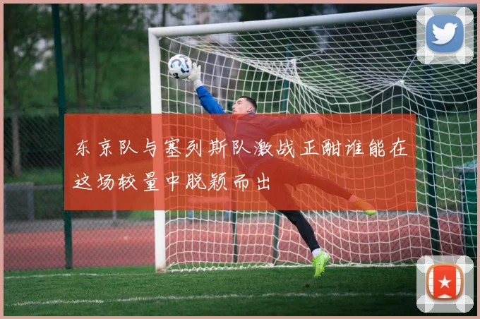 东京队与塞列斯队激战正酣谁能在这场较量中脱颖而出